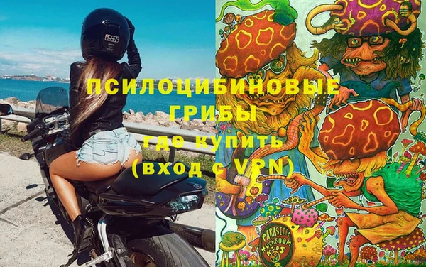 не бодяженный Богданович